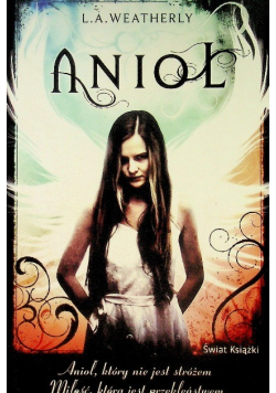 Anioł