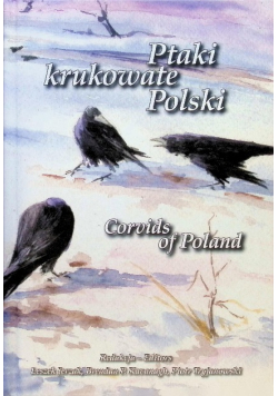 Ptaki krukowate Polski