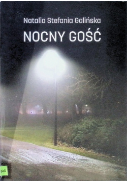 Nocny gość