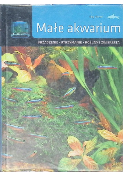 Małe akwarium