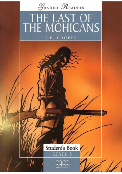 The Last of the Mohicans Level 3