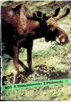 Łoś