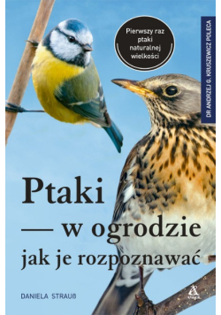 Ptaki w ogrodzie - jak je rozpoznawać
