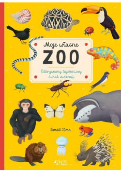 Moje własne zoo. Odkrywamy tajemniczy świat zwierząt