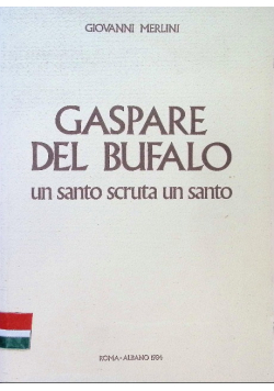 Gaspare del Bufalo: Un Santo scruta un Santo