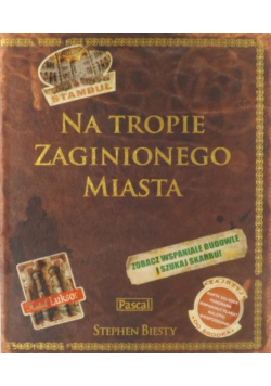 Na tropie zaginionego miasta
