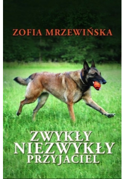 Zwykły niezwykły przyjaciel