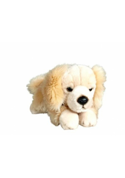 Pies Retriver leżący 30cm