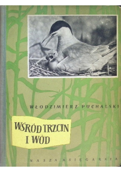 Wśród trzcin i wód