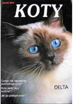 Koty