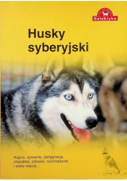 Husky syberyjski