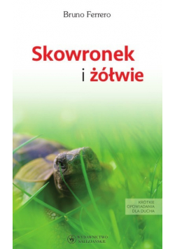 Skowronek i Żółwie