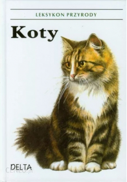 Koty Leksykon przyrody