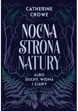 Nocna strona natury albo duchy, widma i zjawy