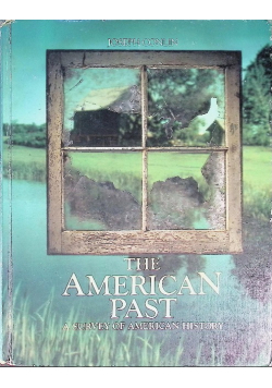 American Past: A Survey of American History