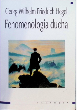 Fenomenologia ducha