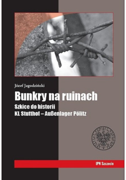 Bunkry na ruinach Szkice do historii