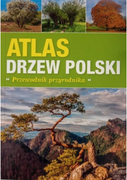 Krzysztof Jackowski Testament jasnowidza