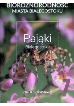 Pająki Białegostoku