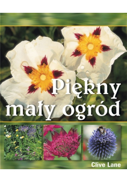 Piękny mały ogród
