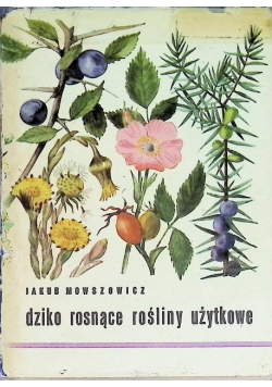 Dziko rosnące rośliny użytkowe