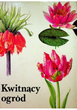 Kwitnący ogród