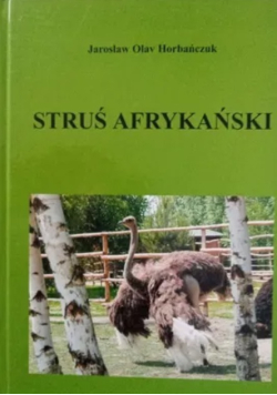 Struś Afrykański