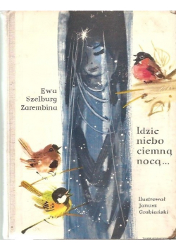 Idzie niebo ciemną nocą