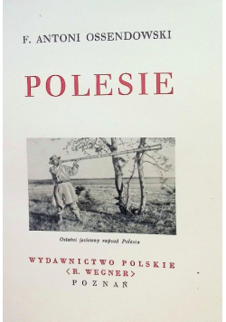 Polesie 1934 r