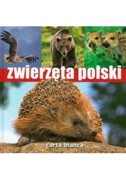 Zwierzęta Polski