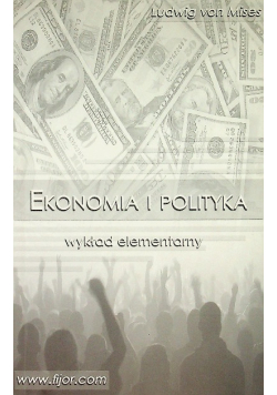 Ekonomia i polityka. Wykład elementarny
