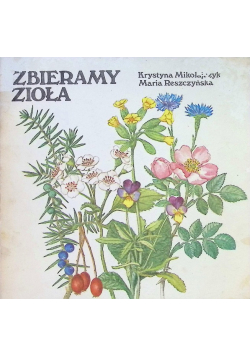 Zbieramy zioła