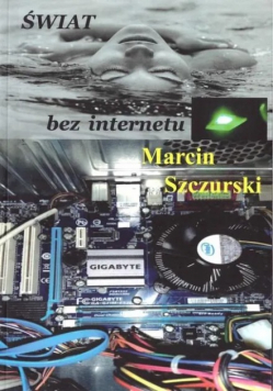 Świat bez internetu