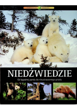Niedźwiedzie od łagodnej pandy do nieustraszonego grizzly