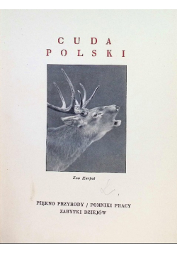 Cuda Polski Karpaty i Podkarpacie