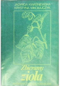 Zbieramy zioła