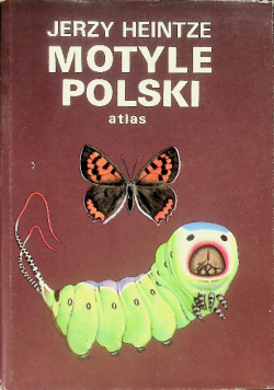 Motyle Polskie atlas