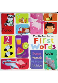 The big Fun Book First Words