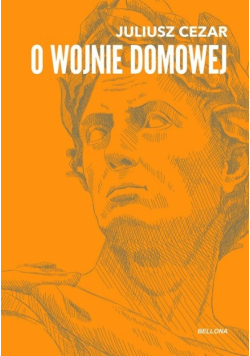 O wojnie domowej