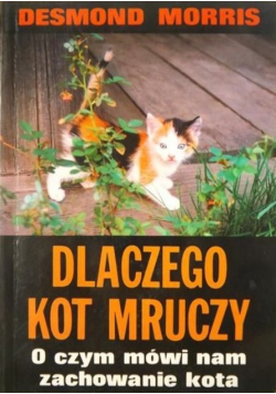 Dlaczego kot mruczy O czym mówi nam zachowanie kota