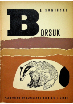 Borsuk