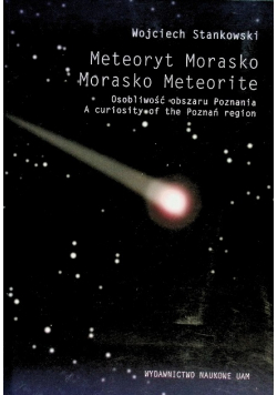Meteoryt Morasko