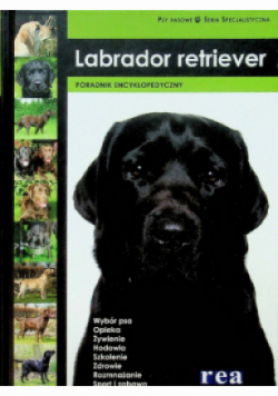 Labrador retriewer Poradnik encyklopedyczny