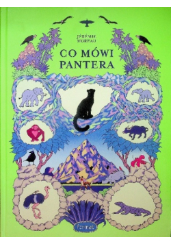 Co mówi pantera