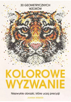 Kolorowe Wyzwanie. Niezwykłe Obrazki, Które Uczą Precyzji