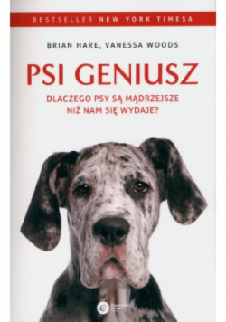 Psi geniusz