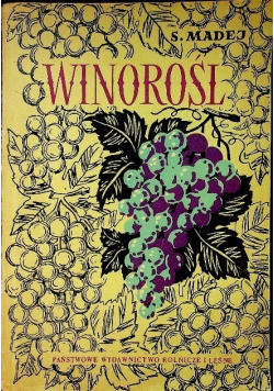 Winorośl