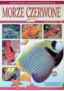 Morze Czerwone 335 barwnych fotografii