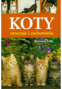 Koty zwyczaje i zachowania
