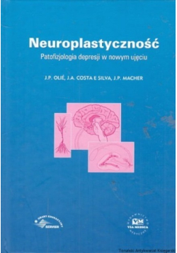 Neuroplastyczność